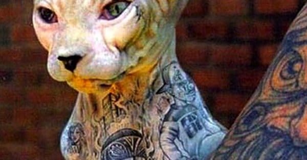 Tattooing Animals: Abusive or Artistic? | Tattoodo