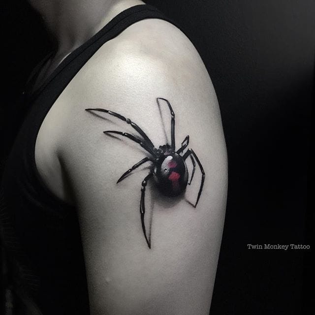 How Do You Identify Black Widow Spiders / Welcome to Kiokee Mastiffs: Do you Know Your Spiders? / Brown recluse spiders are identified by their characteristic violin pattern on the back of the cephalothorax (the part of the body.