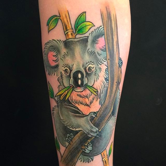 They May Be Vile Beasts in Real Life, but Koala Tattoos ...